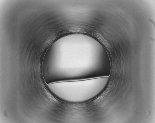 X0000094230441200710261017