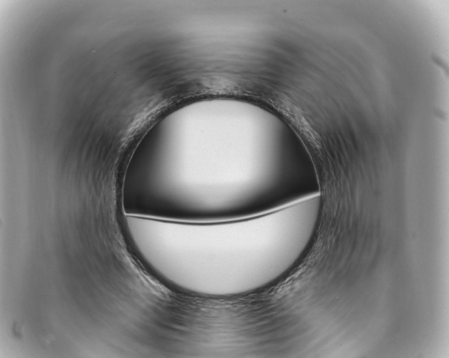 X0000094230442200710261017