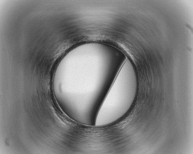X0000094230443200710261017