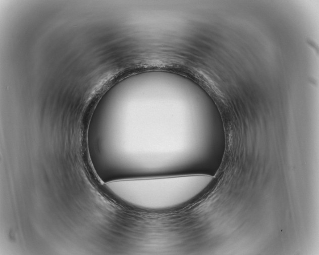 X0000094230444200710261017