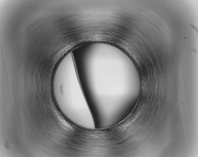 X0000094230445200710261017