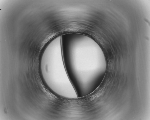 X0000094230446200710261017