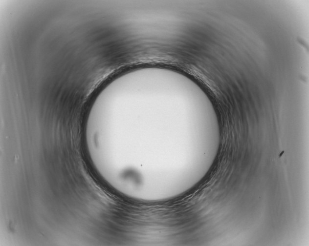 X0000094230448200710261017