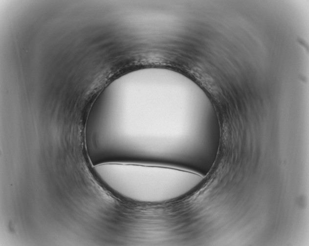 X0000094230449200710261017