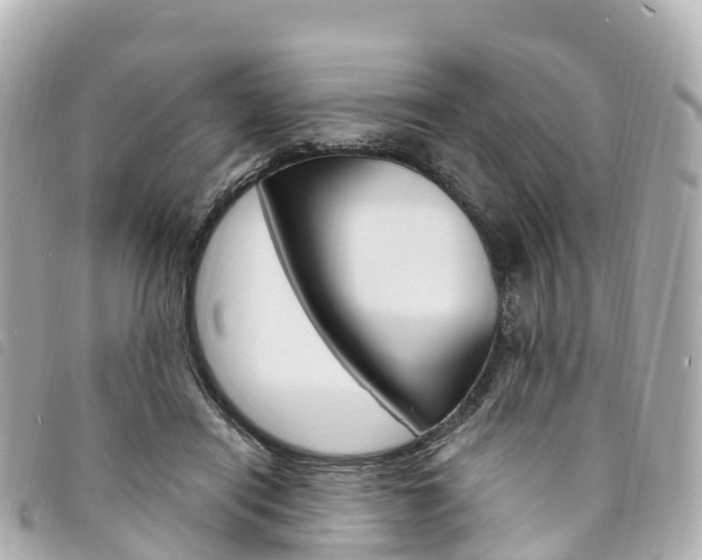 X0000094230454200710261017