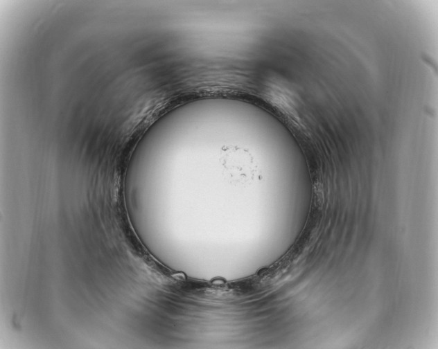 X0000094230458200710261017