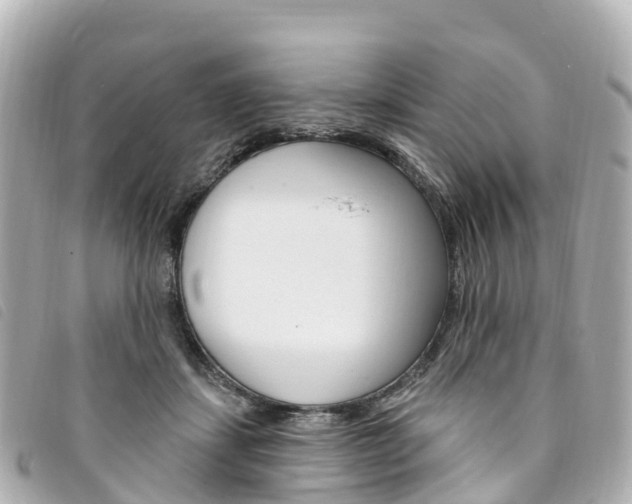 X0000094230459200710261017