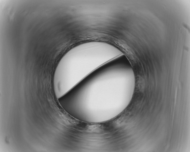 X0000094230461200710261017