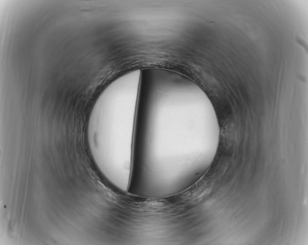 X0000094230462200710261017