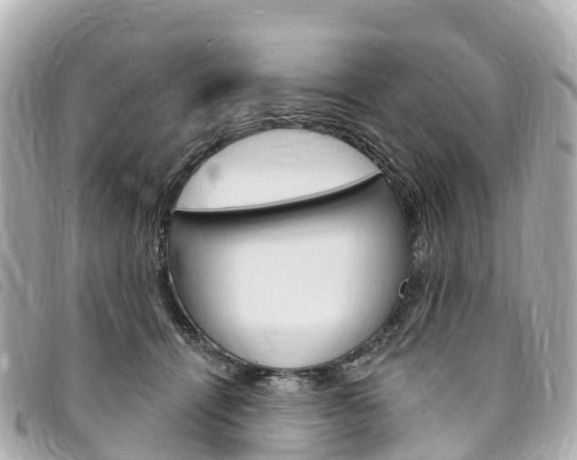 X0000094230464200710261017