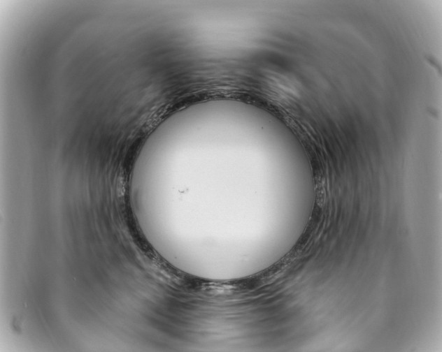 X0000094230472200710261017