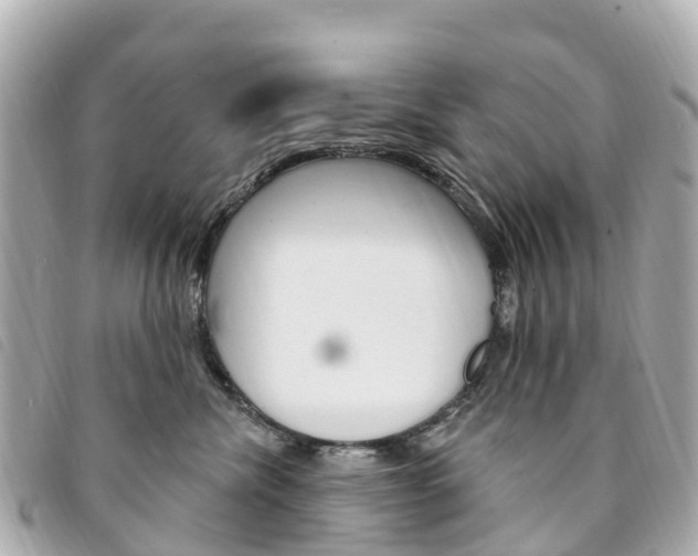 X0000094230476200710261017