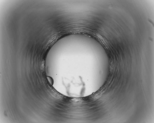 X0000094230477200710261017