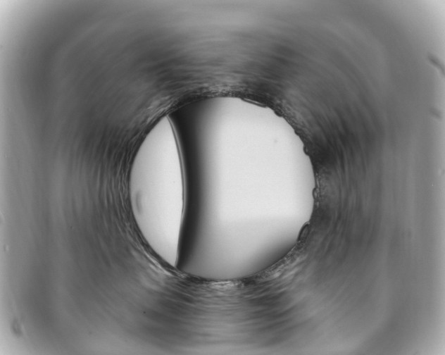 X0000094230479200710261017