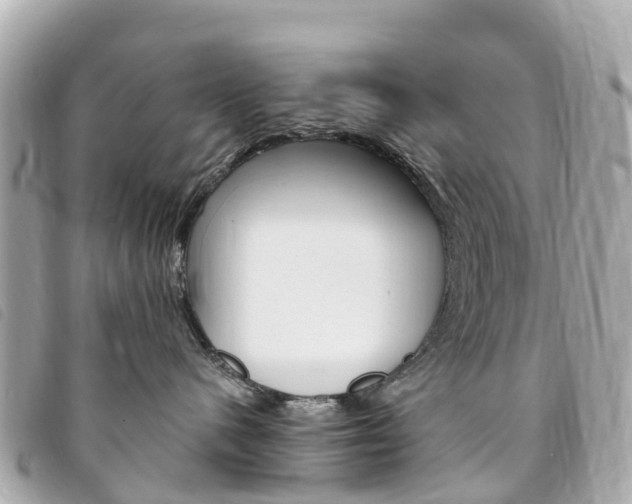X0000094230480200710261017