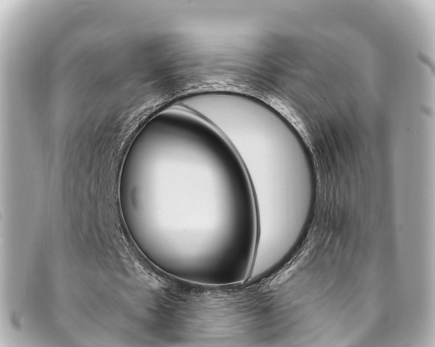X0000094230481200710261017