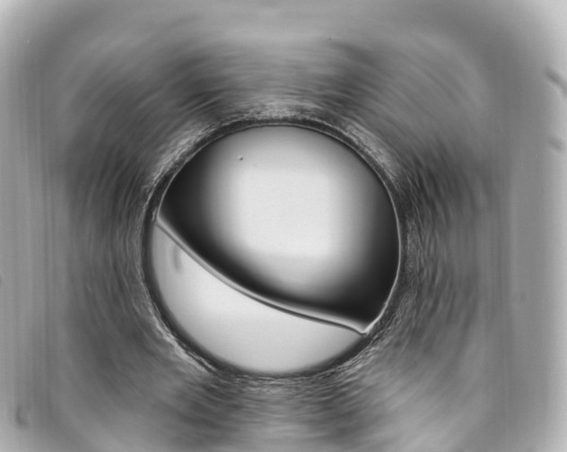 X0000094230485200710261017