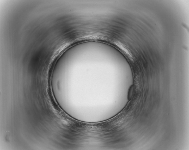 X0000094230486200710261017