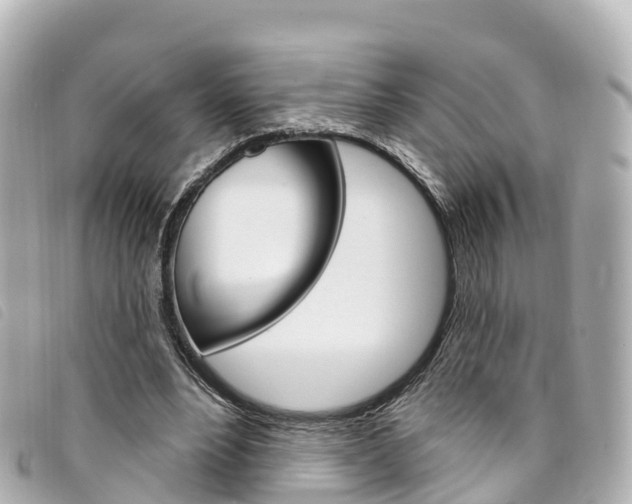 X0000094230488200710261017