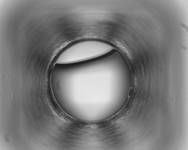 X0000094230492200710261017