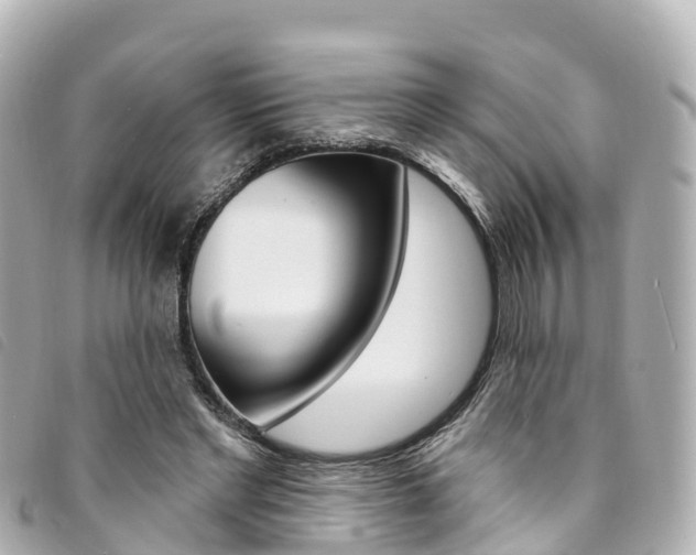 X0000094230493200710261017