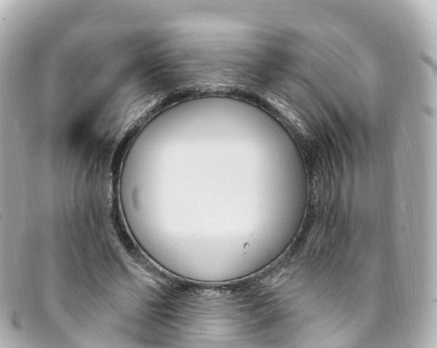 X0000094230494200710261017