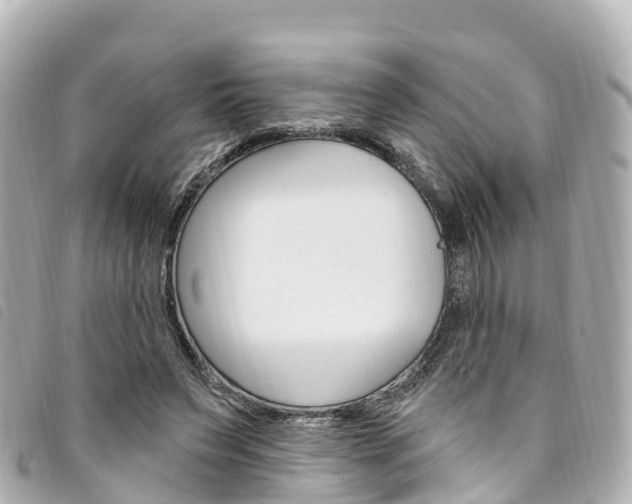 X0000094230495200710261017