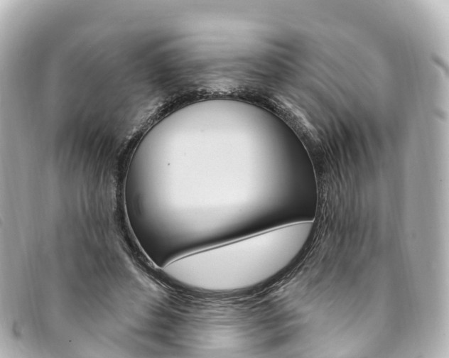 X0000094230496200710261017