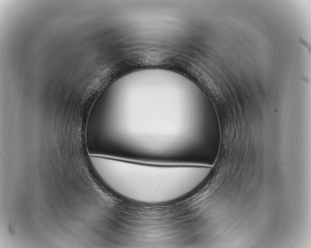 X0000094230497200710261017