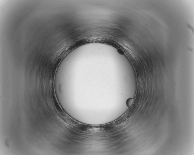 X0000094230499200710261016