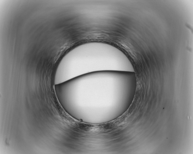 X0000094230504200710261016