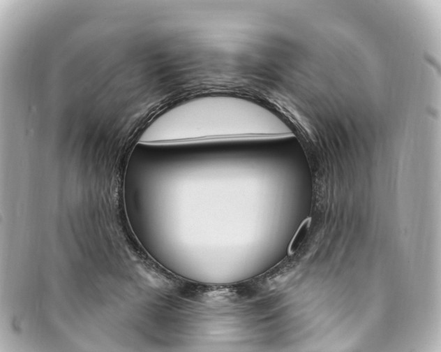 X0000094230505200710261016