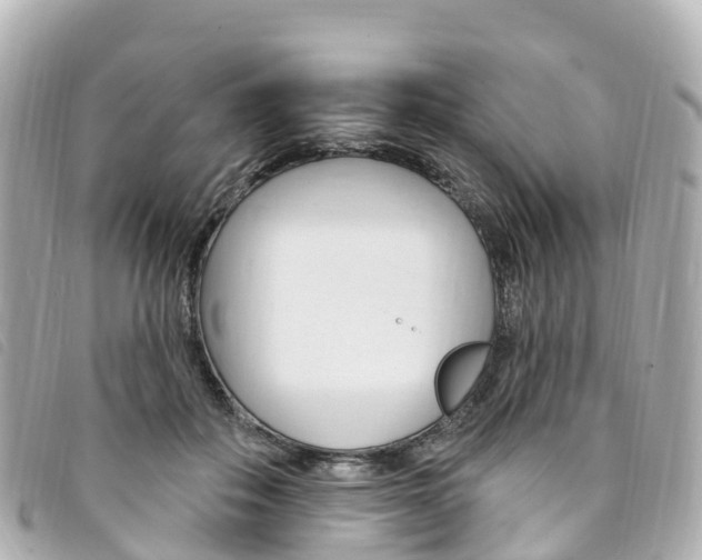 X0000094230506200710261016