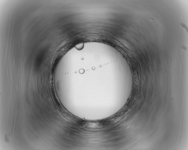 X0000094230507200710261016