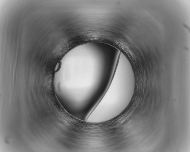 X0000094230509200710261016