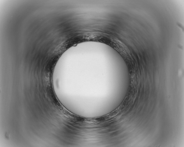 X0000094230510200710261016