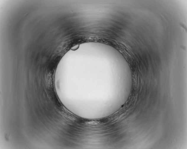 X0000094230511200710261016