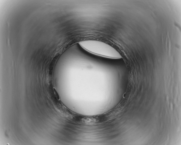 X0000094230512200710261016