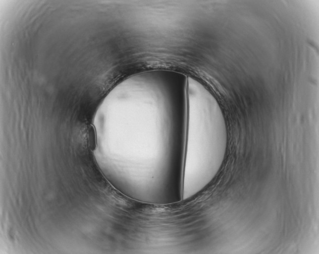 X0000094230513200710261016