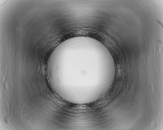 X0000094230514200710261016