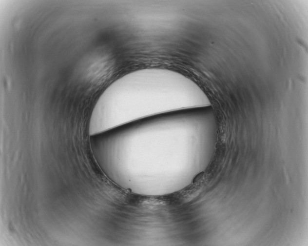 X0000094230515200710261016