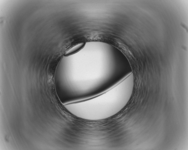 X0000094230521200710261016