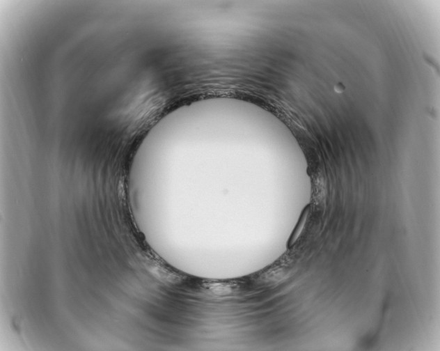 X0000094230522200710261016