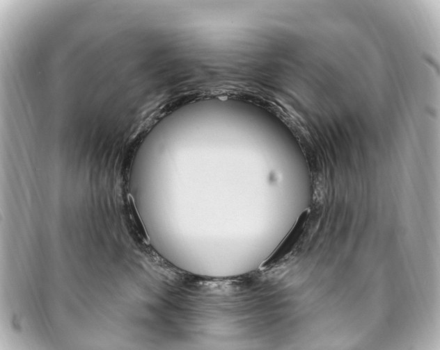 X0000094230524200710261016