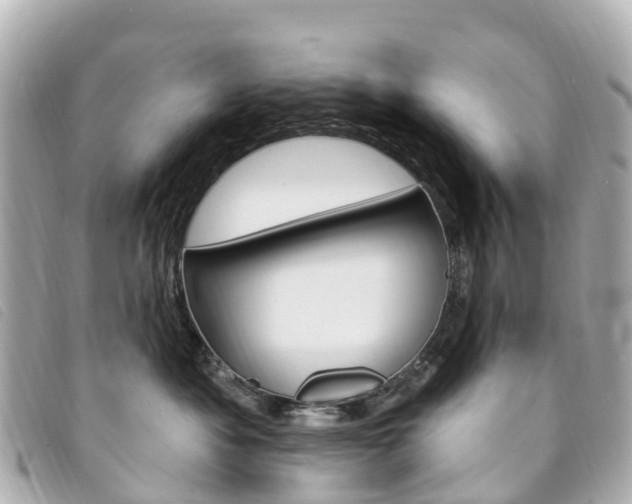 X0000094230525200710261016
