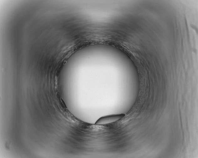 X0000094230528200710261016