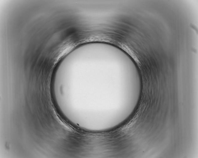 X0000094230530200710261015