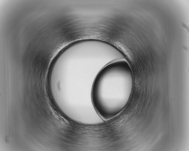 X0000094230532200710261015
