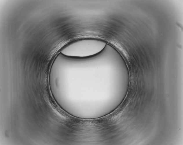 X0000094230533200710261015