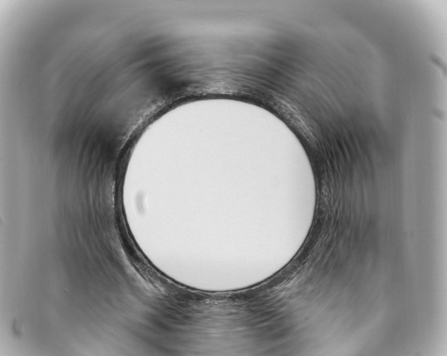 X0000094230534200710261015